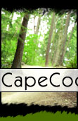 Your guide to cycling on Cape Cod